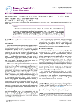 Genitalia Malformations in Stramonita Haemastoma (Gastropoda: Muricidae) from Atlantic and Mediterranean Coast