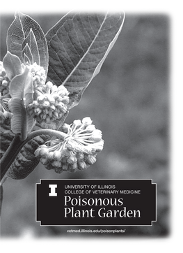 Poisonous Plant Garden