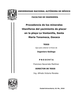 Procedencia De Los Minerales Titaníferos Del Yacimiento De Placer