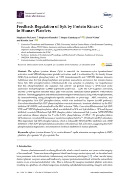 Feedback Regulation of Syk by Protein Kinase C in Human Platelets