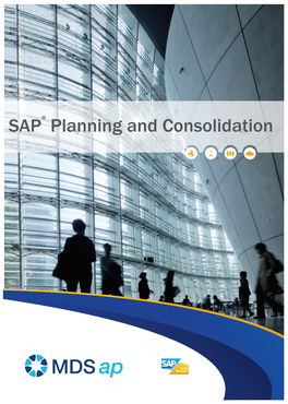 SAP Planning and Consolidation