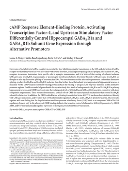 Camp Response Element-Binding Protein, Activating