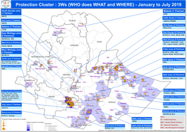 Protection Cluster : 3Ws (WHO Does WHAT and WHERE) - January to July 2019