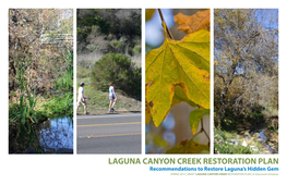 Laguna Canyon Creek Restoration Plan