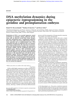 DNA Methylation Dynamics During Epigenetic Reprogramming in the Germline and Preimplantation Embryos