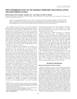 First Intermediate Host of the Digenean Trematode Proctoeces Lintoni (Fellodistomidae) in Chile