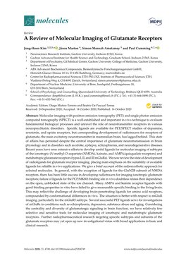 A Review of Molecular Imaging of Glutamate Receptors