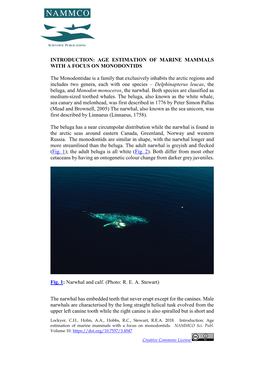 Age Estimation of Marine Mammals with a Focus on Monodontids