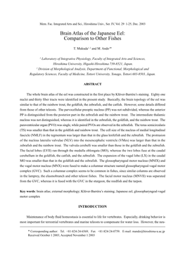 Brain Atlas of the Japanese Eel: Comparison to Other Fishes