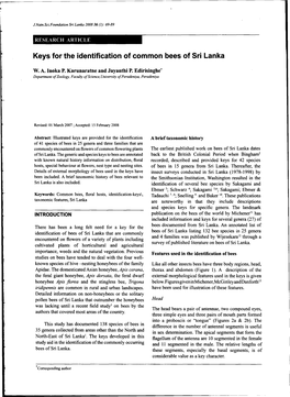 Keys for the Identification of Common Bees of Sri Lanka