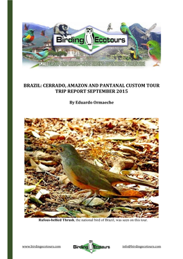 Brazil: Cerrado, Amazon and Pantanal Custom Tour Trip Report September 2015