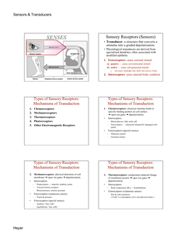 SENSES Sensory Receptors (Sensors) • Transducer: a Structure That Converts a Stimulus Into a Graded Depolarization