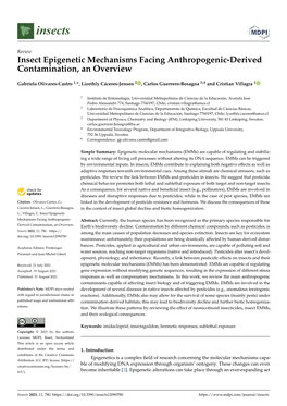 Insect Epigenetic Mechanisms Facing Anthropogenic-Derived Contamination, an Overview