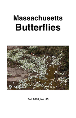 Massachusetts Butterflies