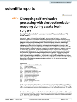 Disrupting Self-Evaluative Processing with Electrostimulation Mapping