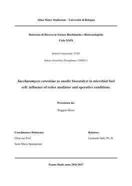 Saccharomyces Cerevisiae As Anodic Biocatalyst in Microbial Fuel Cell: Influence of Redox Mediator and Operative Conditions