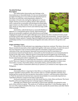 1 the KULITIS Plant Description the Edible Kulitis (Amaranthus Spp.)