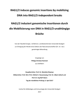 1.3. the RAG Recombinase