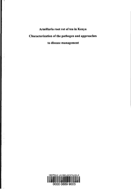 Armillaria Root Rot of Tea in Kenya Characterization Of