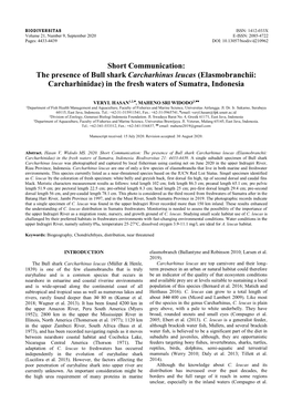 The Presence of Bull Shark Carcharhinus Leucas (Elasmobranchii: Carcharhinidae) in the Fresh Waters of Sumatra, Indonesia