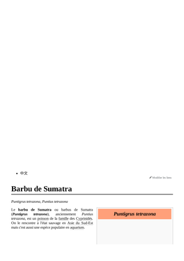 Barbu De Sumatra