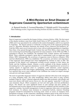 A Mini-Review on Smut Disease of Sugarcane Caused by Sporisorium Scitamineum