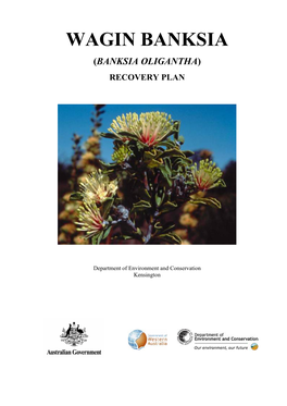 (Banksia Oligantha) Recovery Plan