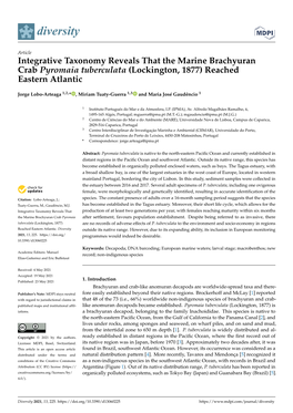 Integrative Taxonomy Reveals That the Marine Brachyuran Crab Pyromaia Tuberculata (Lockington, 1877) Reached Eastern Atlantic