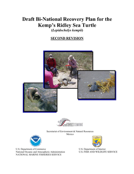 Draft Bi-National Recovery Plan for the Kemp's Ridley Sea Turtle