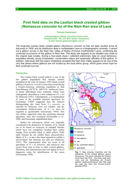 First Field Data on the Laotian Black Crested Gibbon (Nomascus Concolor Lu) of the Nam Kan Area of Laos