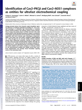 Identification of Cav2–Pkcβ and Cav2–NOS1 Complexes As Entities for Ultrafast Electrochemical Coupling