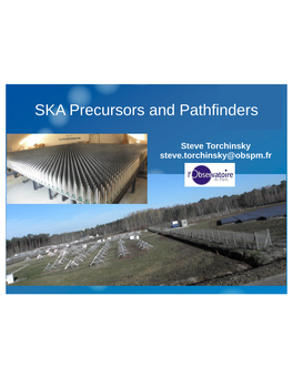 SKA Precursors and Pathfinders