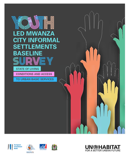 Led Mwanza City Informal Settlements Baseline