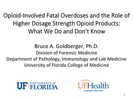 Fentanyl Analogs Other Synthetic Opioids