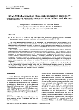 SEM/STEM Observation of Magnetic Minerals in Presumably Unremagnetized Paleozoic Carbonates from Indiana and Alabama