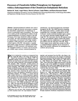 Precursors of Chondroitin Sulfate Proteoglycan Are Segregated Within a Subcompartment of the Chondrocyte Endoplasmic Reticulum Barbara M