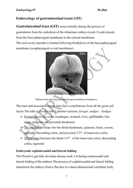 Embryology of Gastrointestinal Tract( GIT)