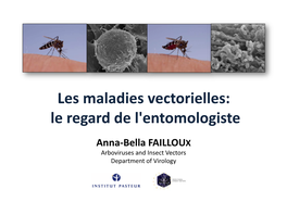 Aedes Albopictus - + + Aedes Aegyp� Vector Competence