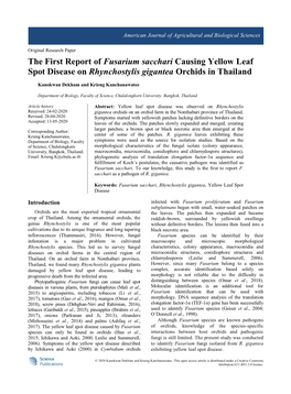 The First Report of Fusarium Sacchari Causing Yellow Leaf Spot Disease on Rhynchostylis Gigantea Orchids in Thailand