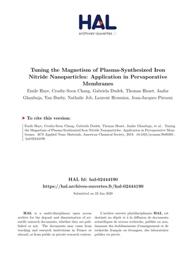 Tuning the Magnetism of Plasma-Synthesized Iron Nitride