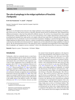 The Role of Autophagy in the Midgut Epithelium of Parachela (Tardigrada)