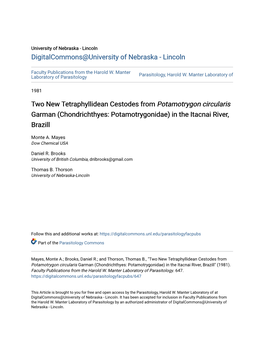 Two New Tetraphyllidean Cestodes from Potamotrygon Circularis Garman (Chondrichthyes: Potamotrygonidae) in the Itacnai River, Brazill