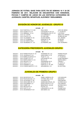 División De Honor De Juveniles –Grupo Vi