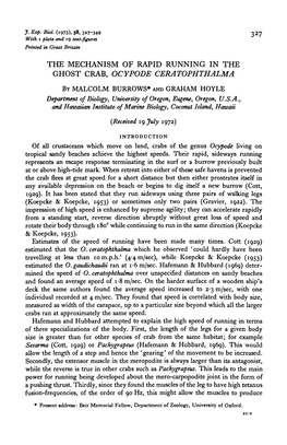 The Mechanism of Rapid Running in the Ghost Crab, Ocypode Ceratophthalma