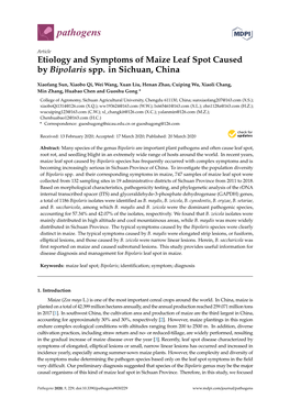 Etiology and Symptoms of Maize Leaf Spot Caused by Bipolaris Spp. in Sichuan, China