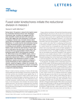 Fused Sister Kinetochores Initiate the Reductional Division in Meiosis I