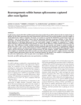 Rearrangements Within Human Spliceosomes Captured After Exon Ligation