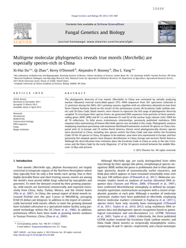 Multigene Molecular Phylogenetics Reveals True Morels (Morchella) Are Especially Species-Rich in China ⇑ Xi-Hui Du A,C, Qi Zhao A, Kerry O’Donnell B, Alejandro P