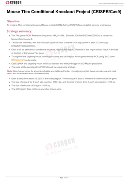 Mouse Tfec Conditional Knockout Project (CRISPR/Cas9)
