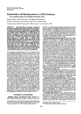 Escherichia Coli Recq Protein Is a DNA Helicase